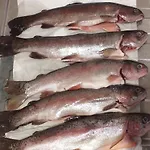 Font Chaude, Emplacement Ideal, Calme Et Nature Magnifique Saint-André-les-Alpes