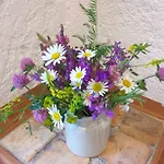 Font Chaude, Emplacement Ideal, Calme Et Nature Magnifique Saint-André-les-Alpes