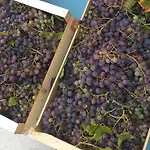 Font Chaude, Emplacement Ideal, Calme Et Nature Magnifique Διαμέρισμα Saint-André-les-Alpes