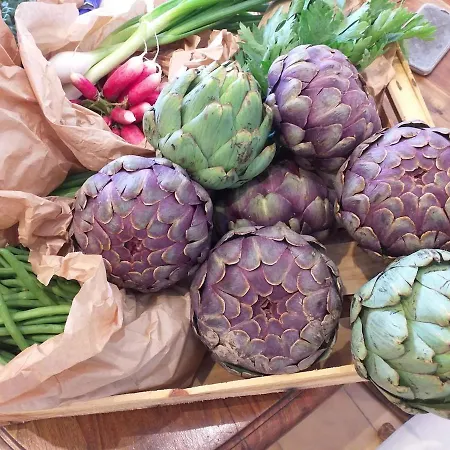 Font Chaude, Emplacement Idéal, Calme Et Nature Magnifique Appartement *