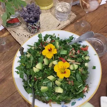 Font Chaude, Emplacement Idéal, Calme Et Nature Magnifique