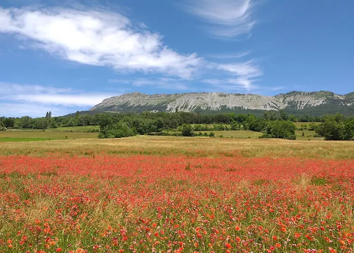 Font Chaude, Emplacement Ideal, Calme Et Nature Magnifique * Saint-Andre-les-Alpes