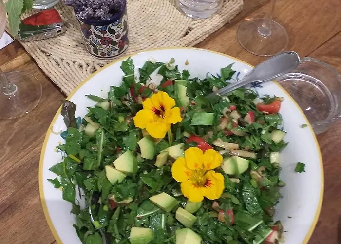 Font Chaude, Emplacement Ideal, Calme Et Nature Magnifique