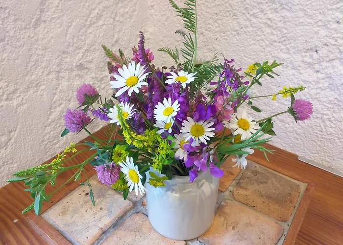 Font Chaude, Emplacement Ideal, Calme Et Nature Magnifique Saint-Andre-les-Alpes